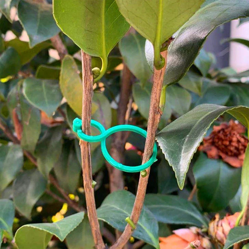 Practical garden plant holder (50 pieces) - Image 10