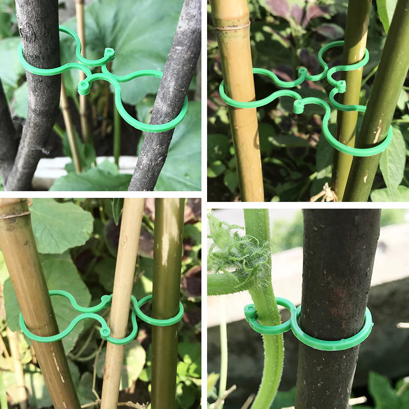 Practical garden plant holder (50 pieces) - Image 9