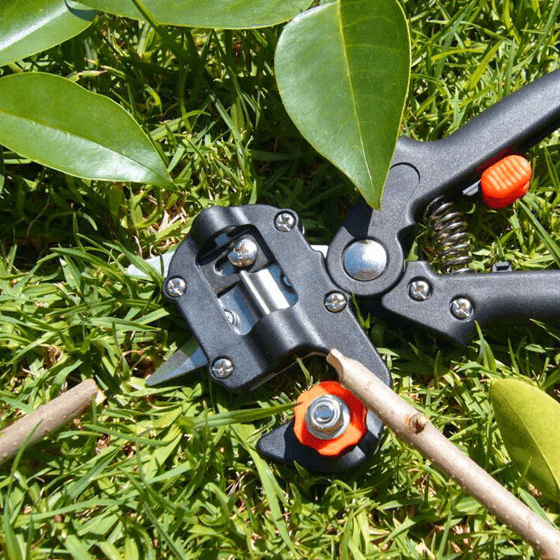 Professional Garden Grafting Tool Kit - Image 2