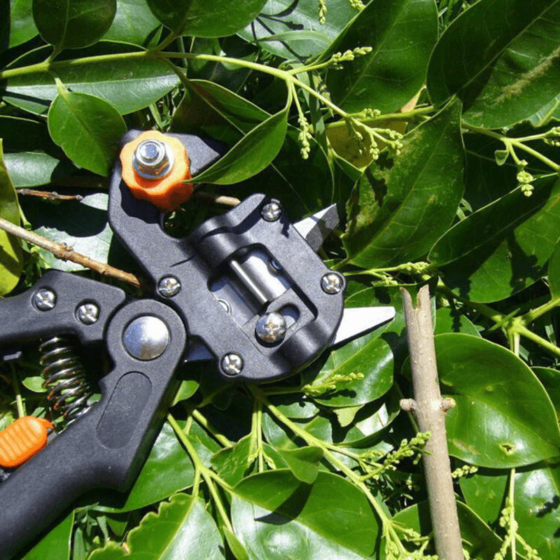 Professional Garden Grafting Tool Kit - Image 3