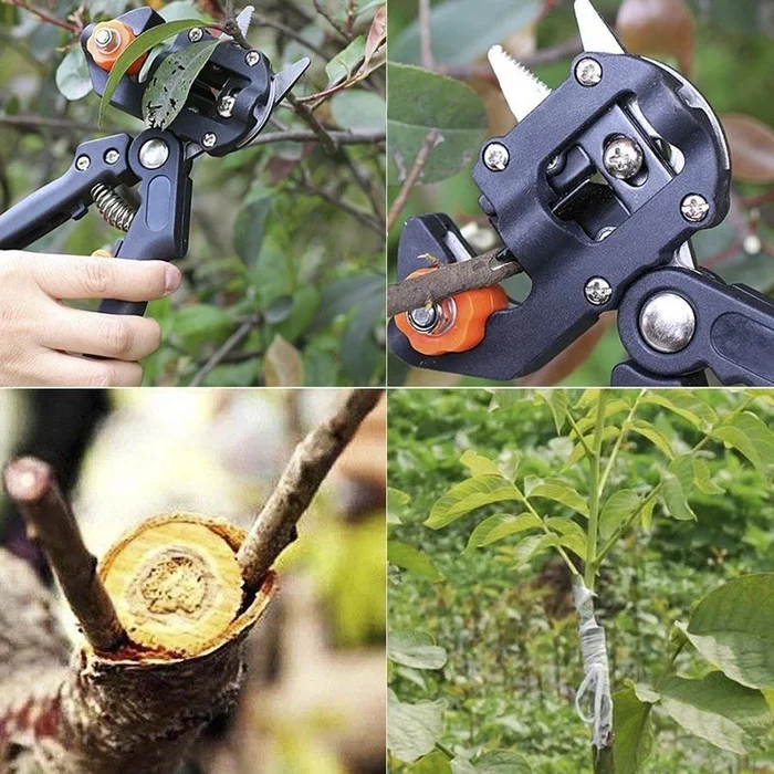 Professional Garden Grafting Tool Kit - Image 4