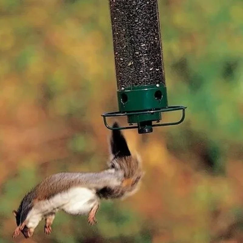 Proof Bird Feeder - Image 2