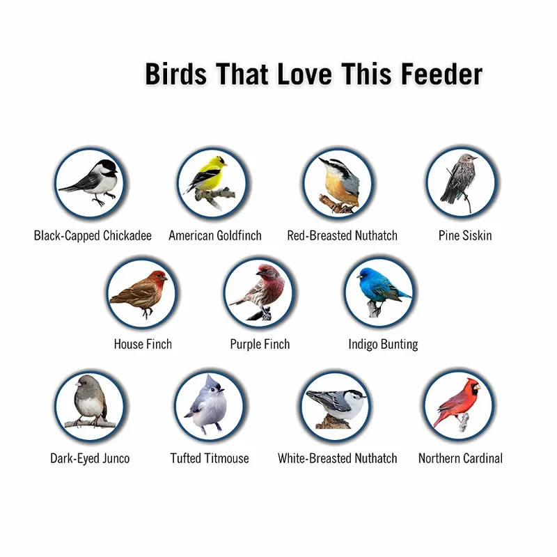 Proof Bird Feeder - Image 4