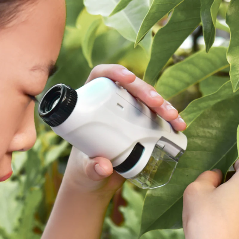 Protable LED Lighted  Microscope - Image 2
