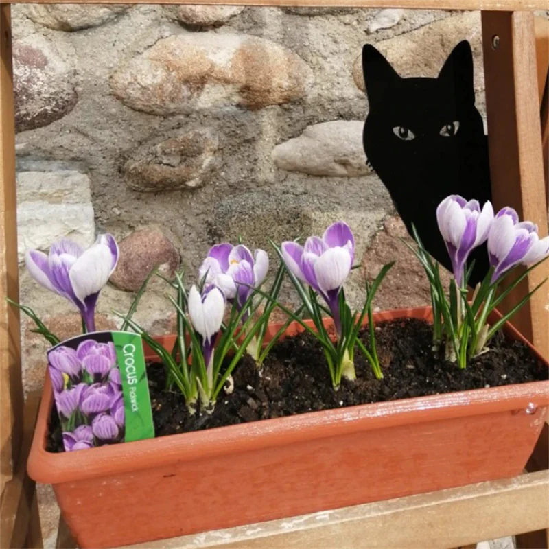 Rude Cat Middle Finger Prank - Image 2