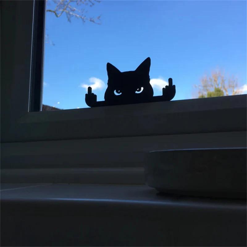Rude Cat Middle Finger Prank - Image 4