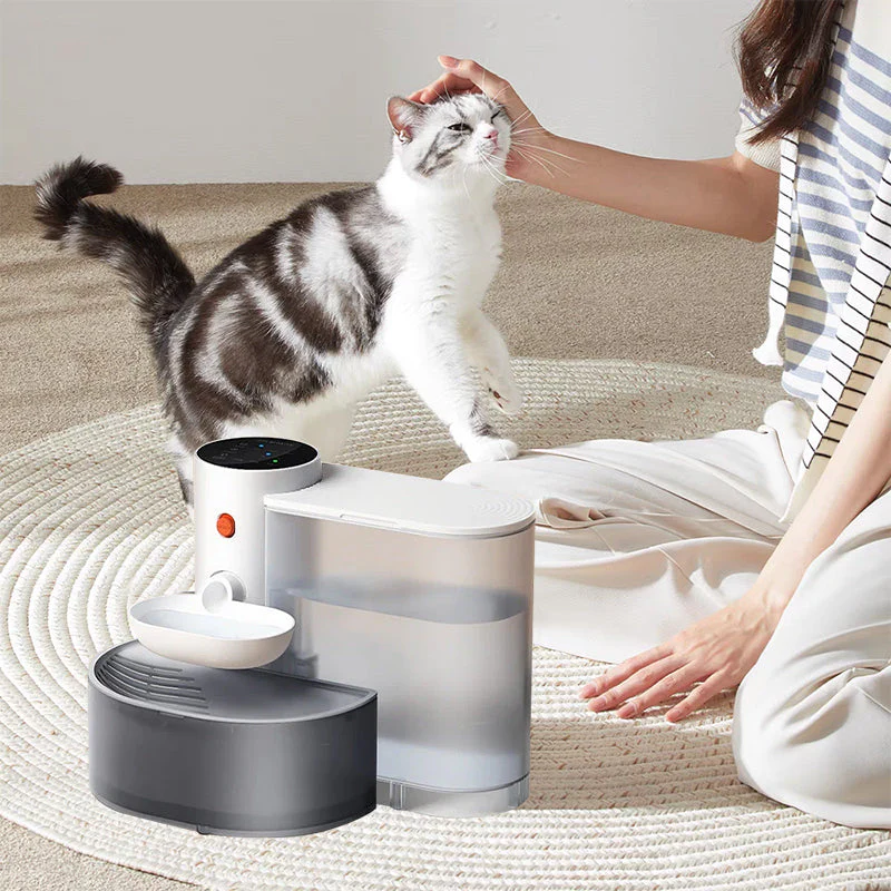 Automatic Pet Water Fountain - Image 8