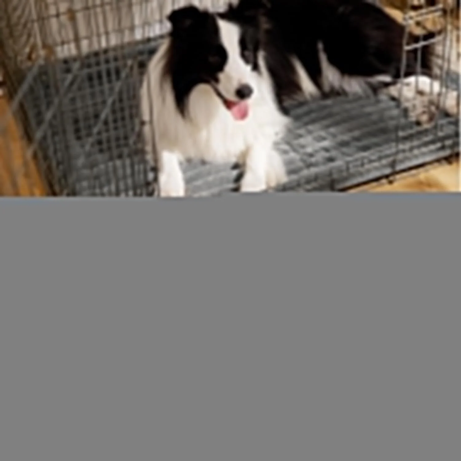 Sakerplus Self Warming Thermal Pet Bed Mat - Image 5