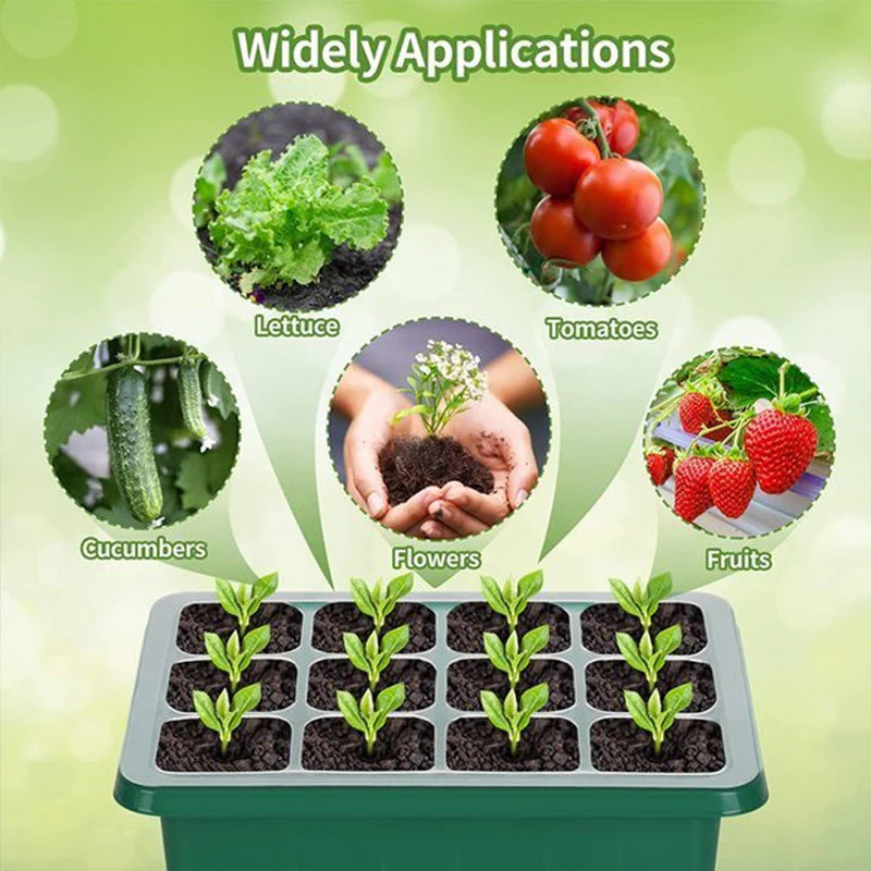 Seed Starter Trays - Image 3
