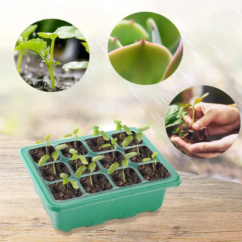 Seed Starter Trays - Image 7