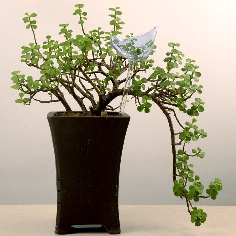 Self-watering Plant Glass Bulb - Image 10