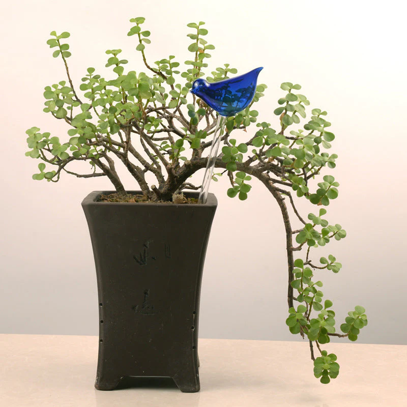 Self-watering Plant Glass Bulb - Image 12