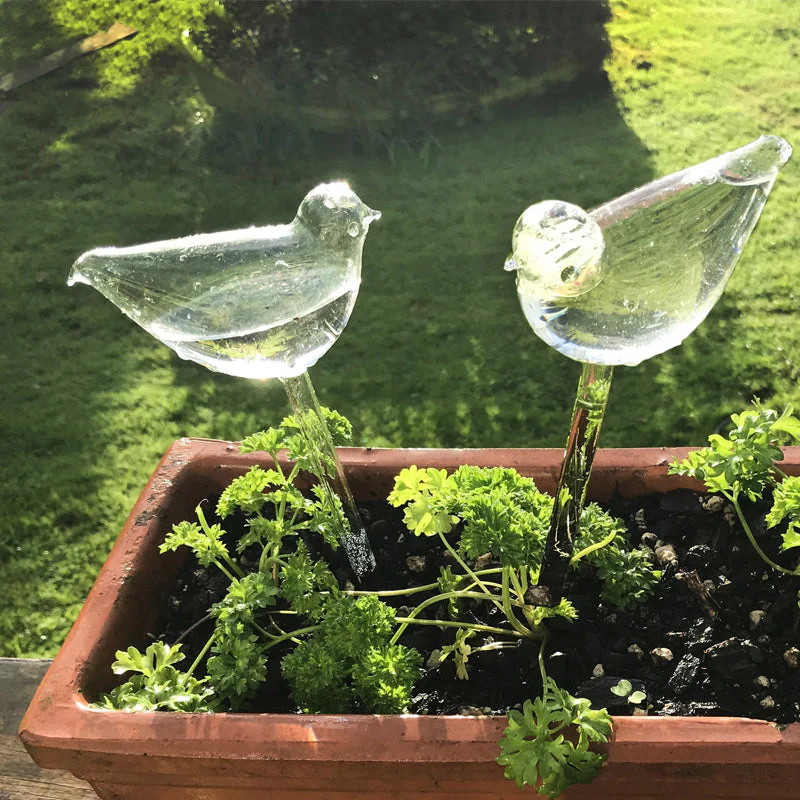 Self-watering Plant Glass Bulb - Image 2