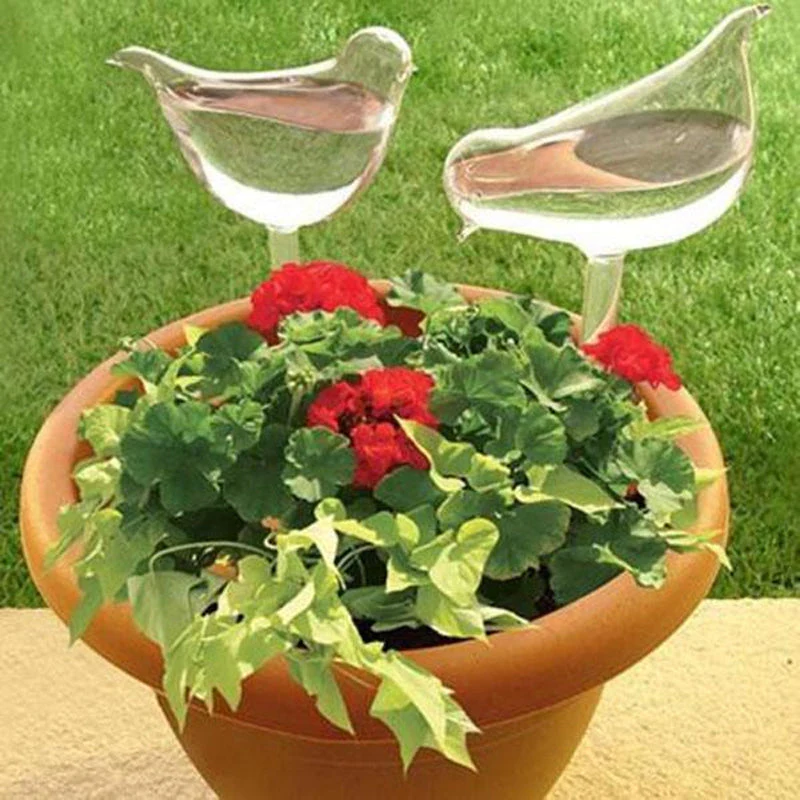 Self-watering Plant Glass Bulb - Image 3