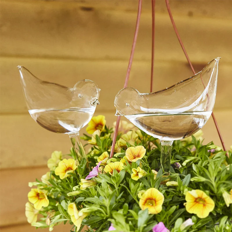 Self-watering Plant Glass Bulb - Image 7