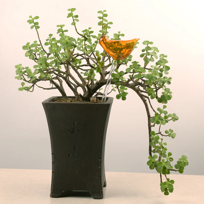 Self-watering Plant Glass Bulb - Image 9