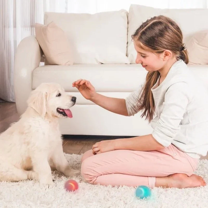 Interactive Ball Toys - Image 10