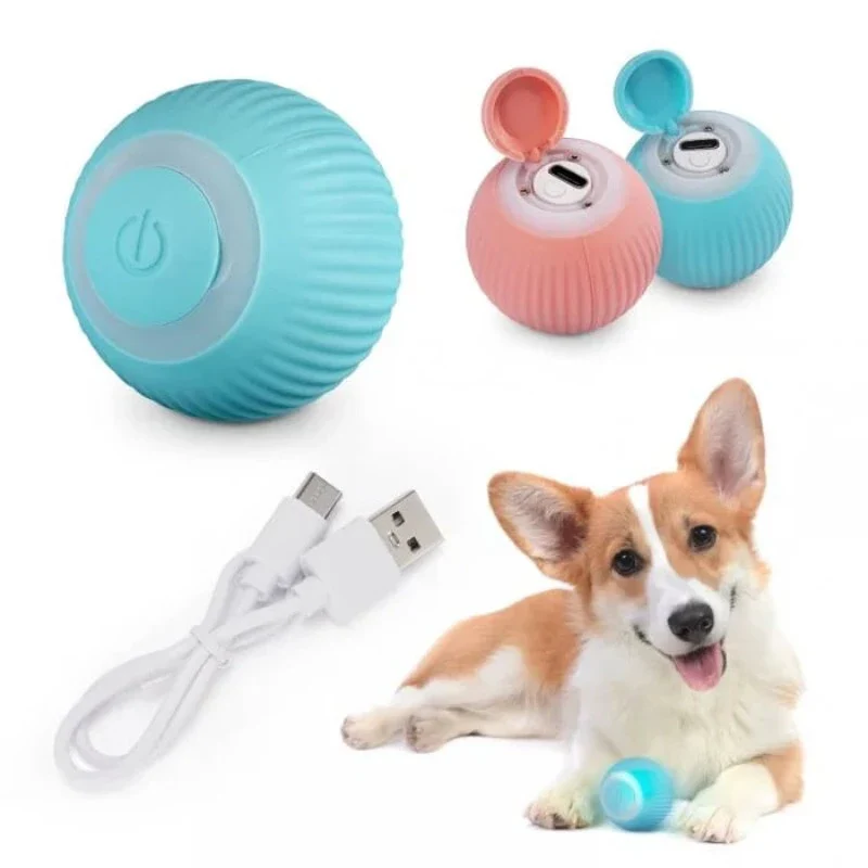 Interactive Ball Toys - Image 18