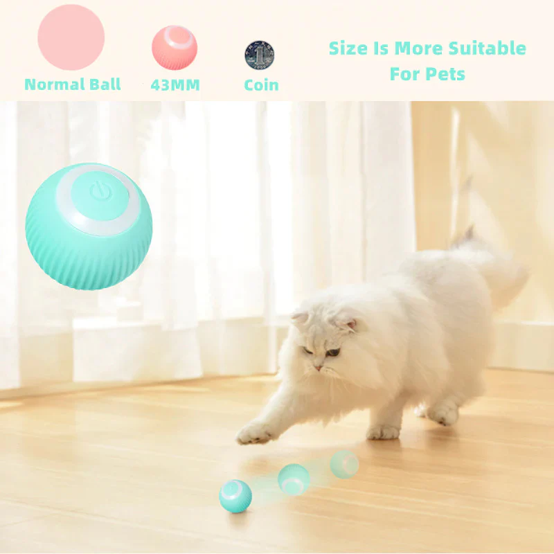 Interactive Ball Toys - Image 4