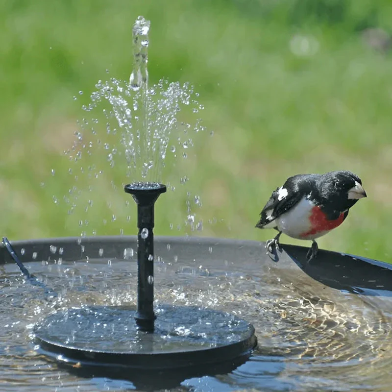 Solar Powered Bird Fountain With Lights - Image 13