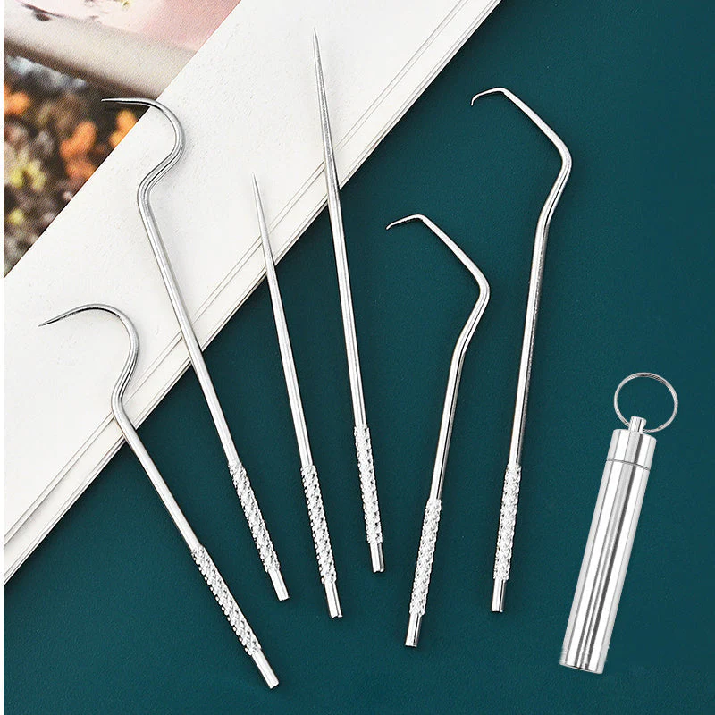 Stainless Steel Toothpick Set - Image 6