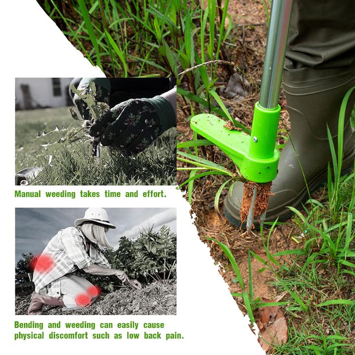 Standing Weed Puller - Image 15