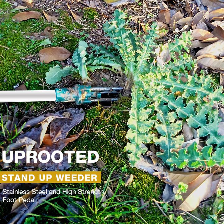 Standing Weed Puller - Image 16
