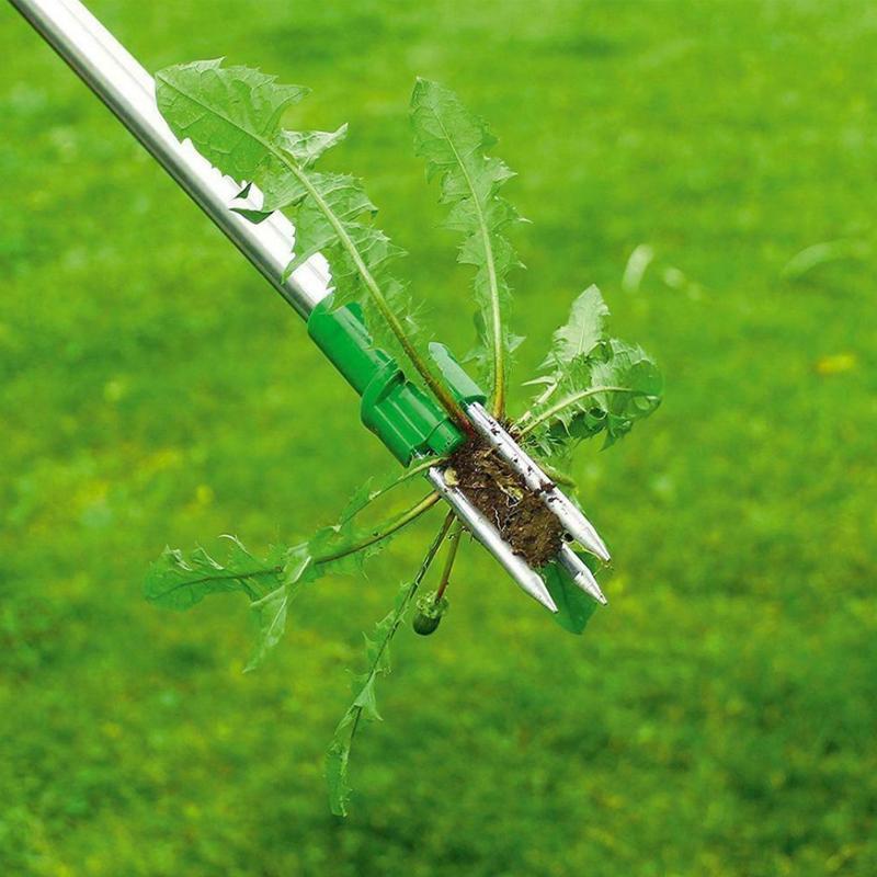 Standing Weed Puller - Image 2