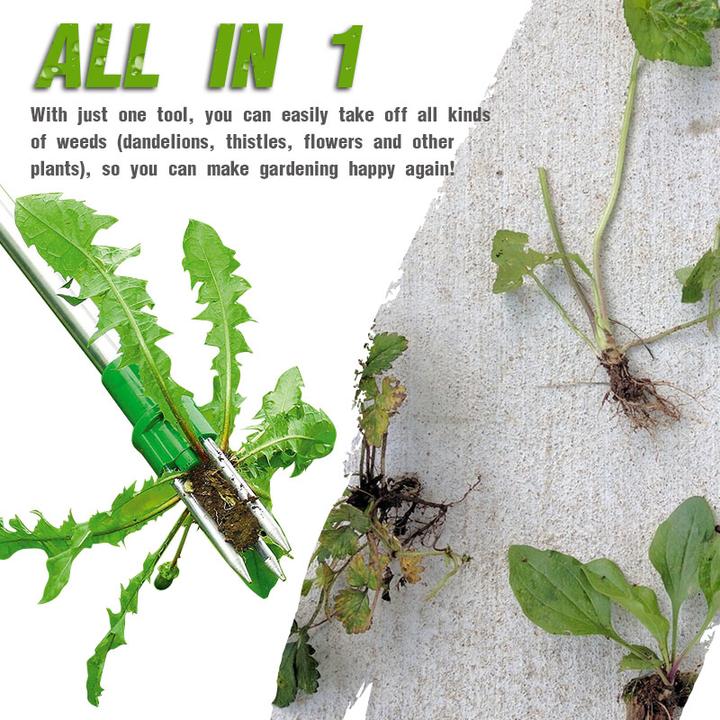 Standing Weed Puller - Image 3
