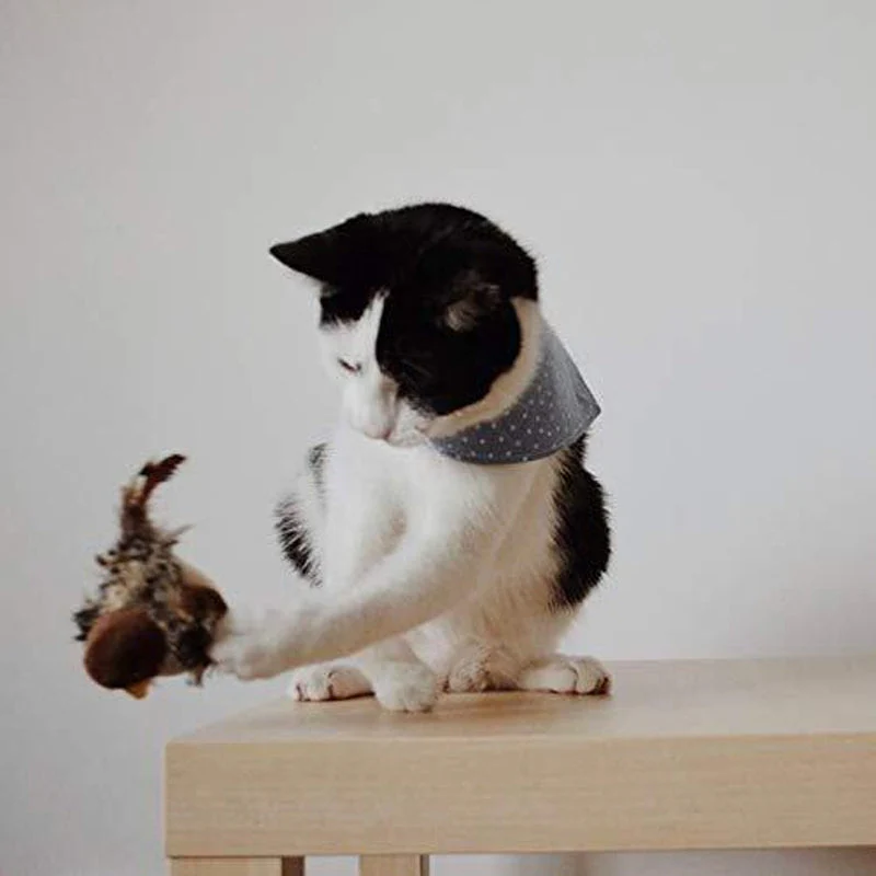 Upgraded Simulated Chirping Bird - Image 9