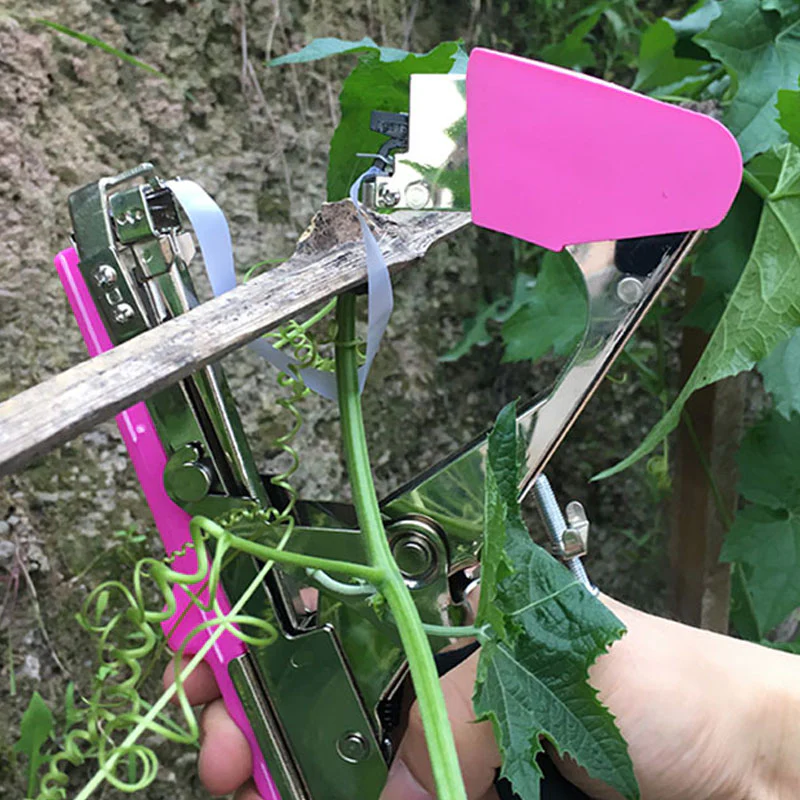 Vegetable & Fruit Strapper - Image 10