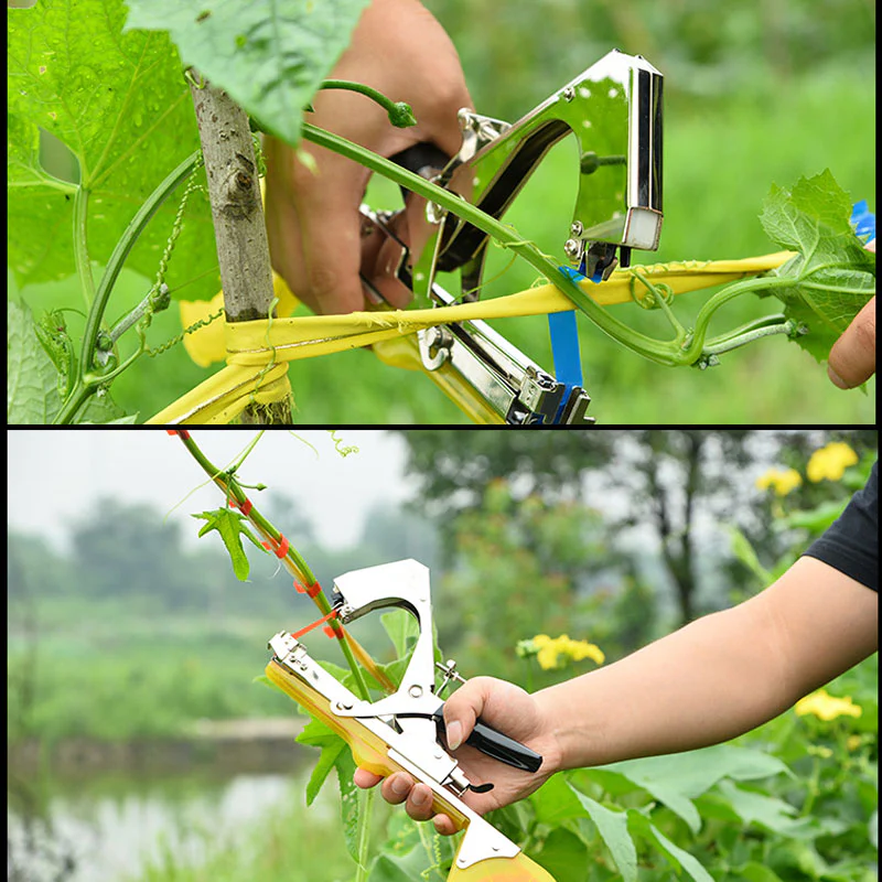 Vegetable & Fruit Strapper - Image 11