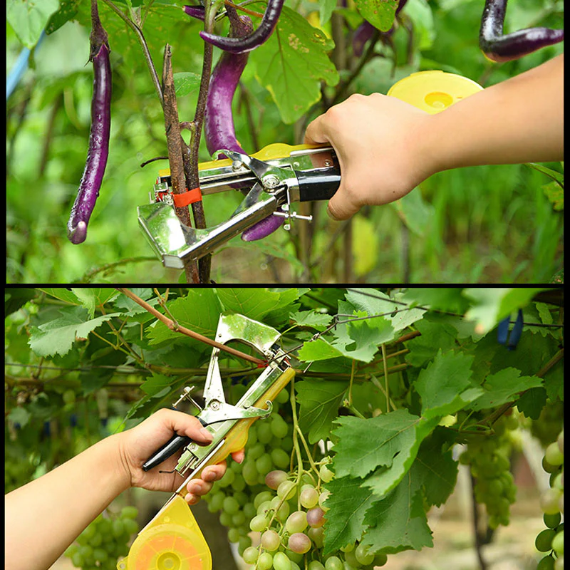 Vegetable & Fruit Strapper - Image 12