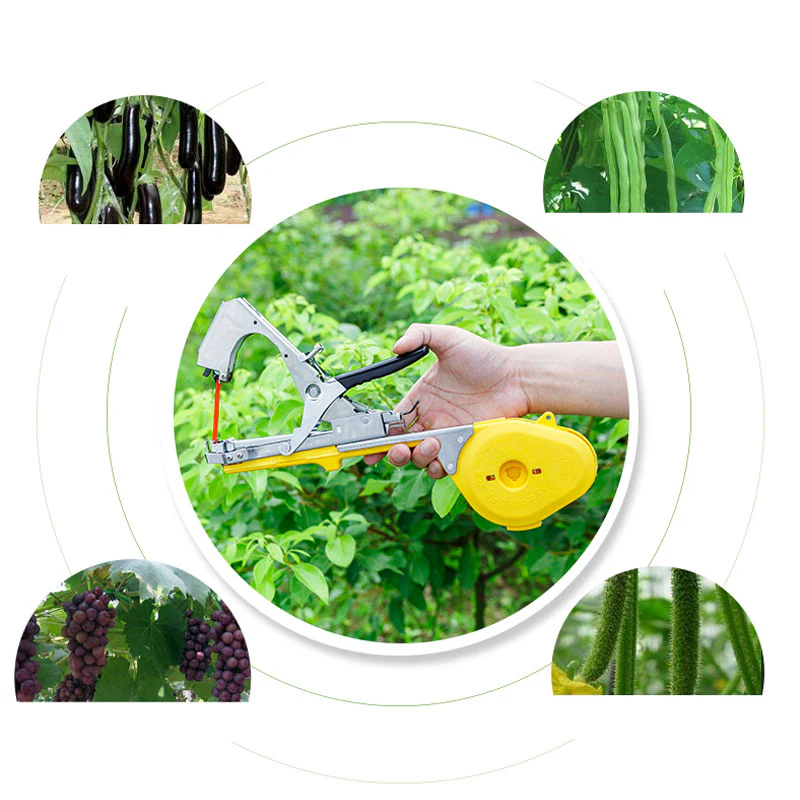 Vegetable & Fruit Strapper - Image 14