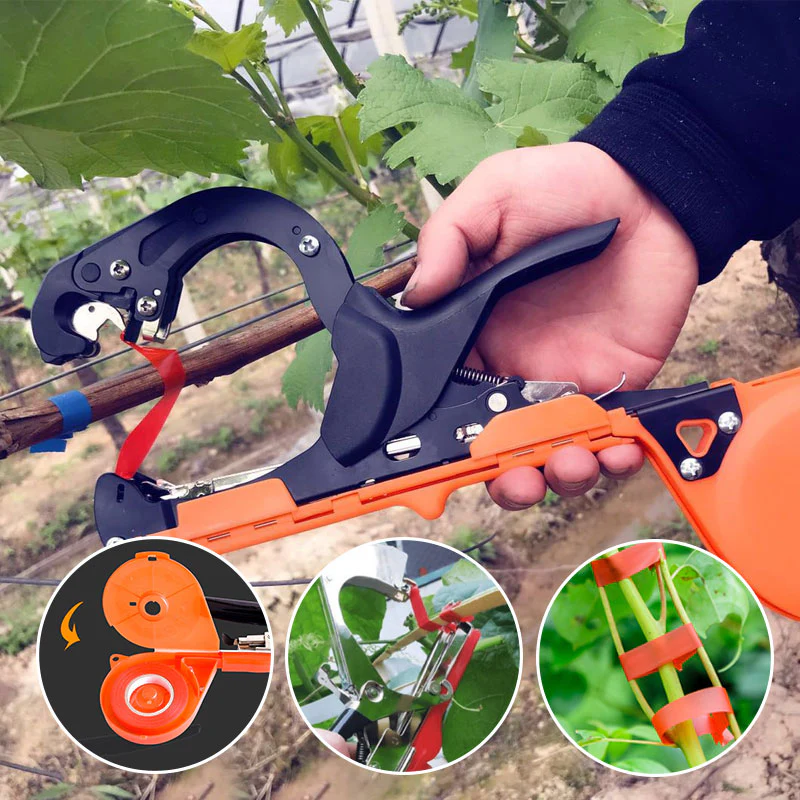 Vegetable & Fruit Strapper - Image 2