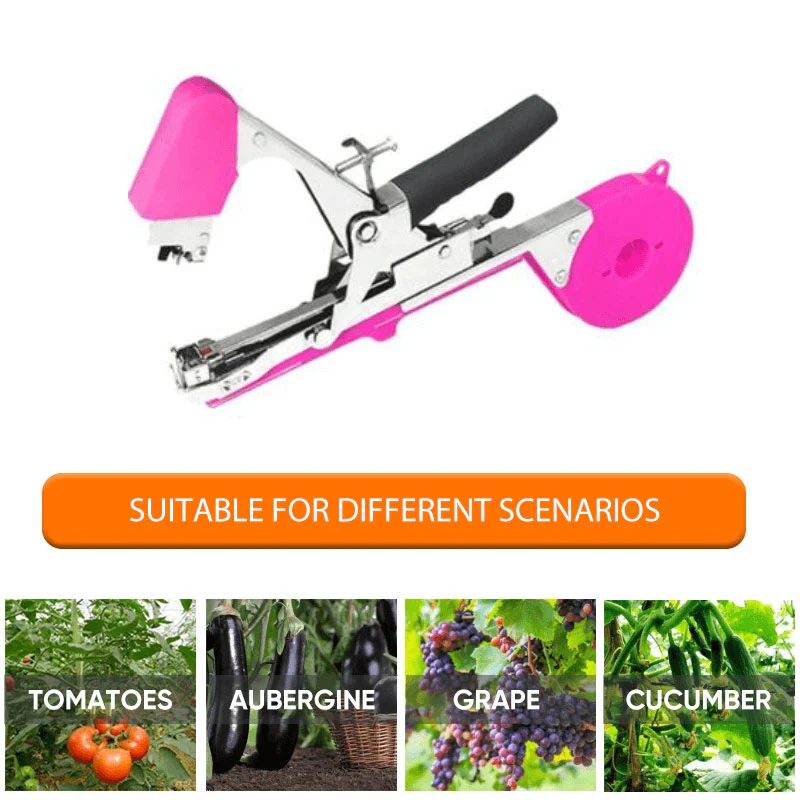 Vegetable & Fruit Strapper - Image 5