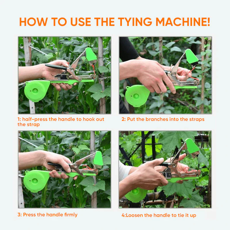 Vegetable & Fruit Strapper - Image 7