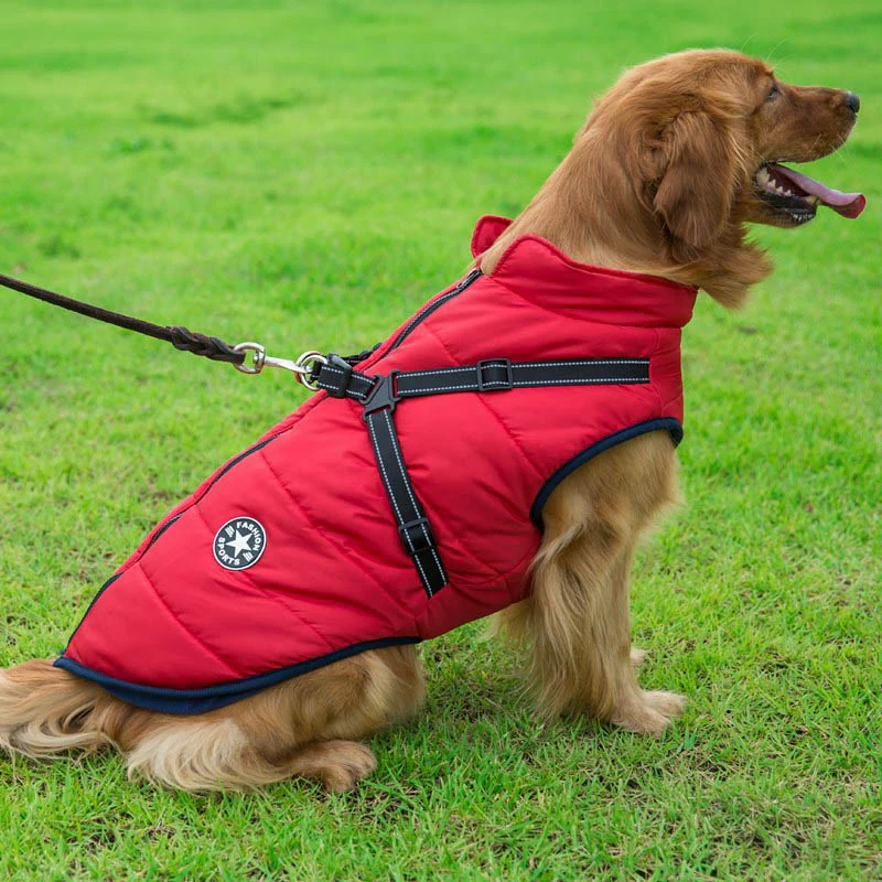 Waterproof Winter Jacket With Built-In Harness - Image 3