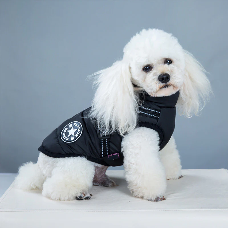 Waterproof Winter Jacket With Built-In Harness - Image 5