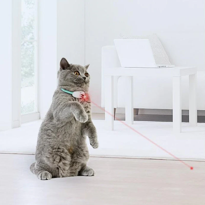 Wearable Laser Automatic Cat Toys - Image 6