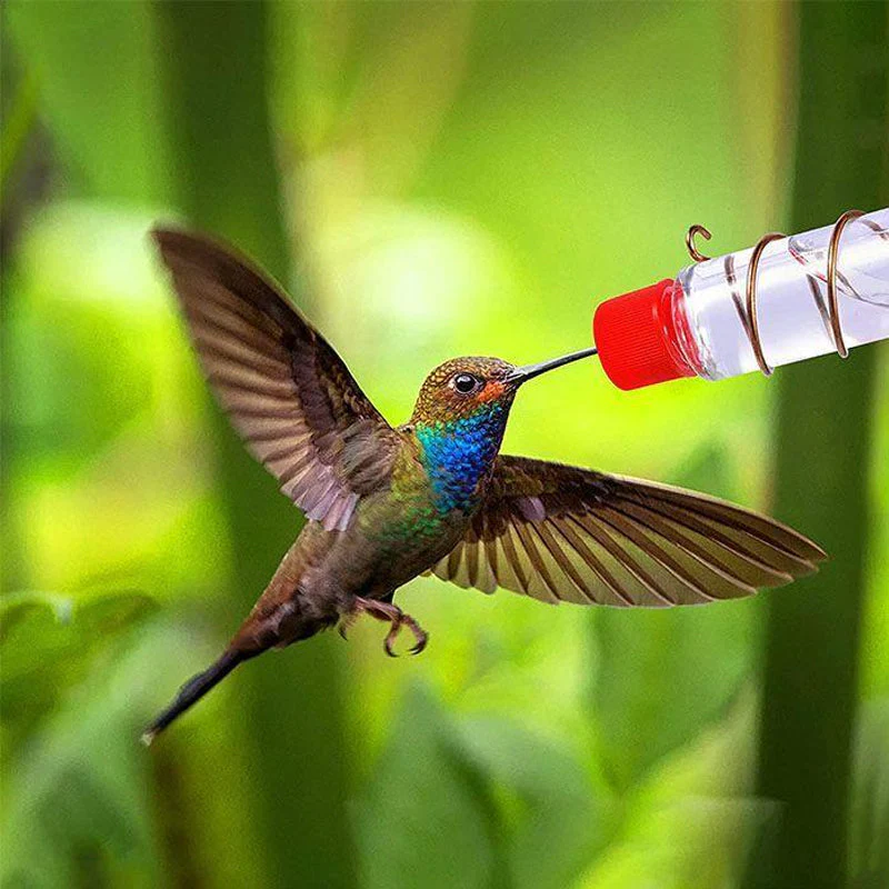 Window Hummingbird Feeder - Image 2