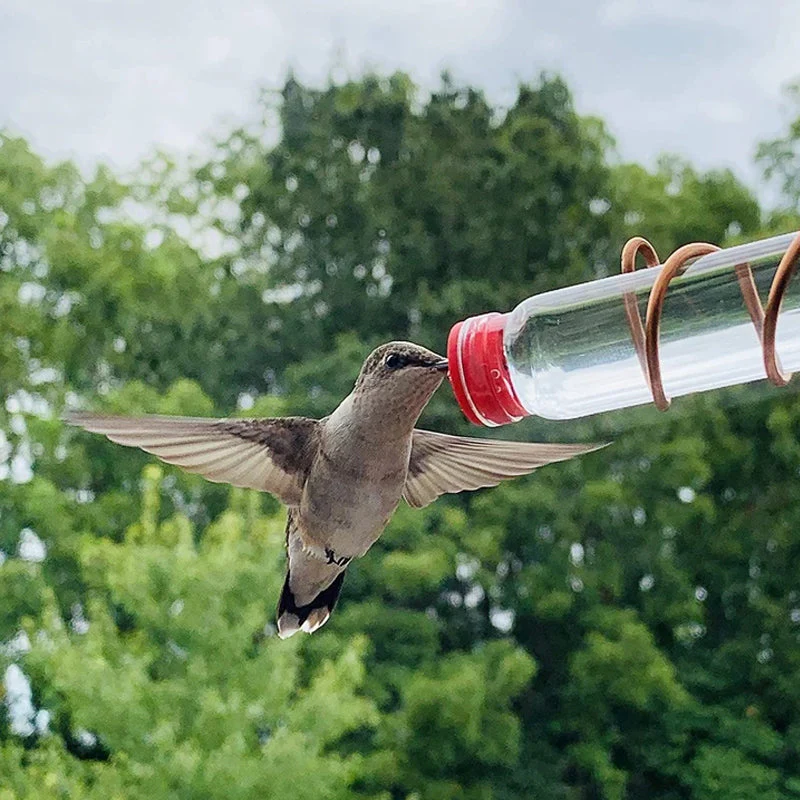 Window Hummingbird Feeder - Image 3