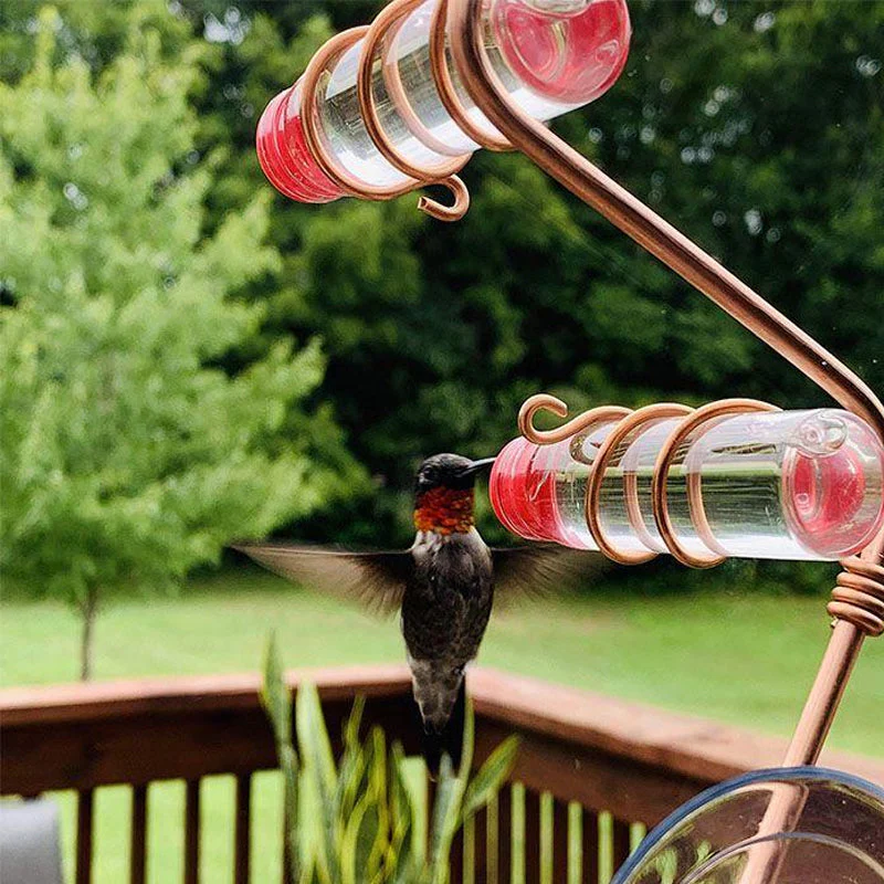 Window Hummingbird Feeder - Image 4