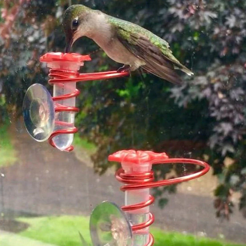 Window Hummingbird Feeder - Image 8